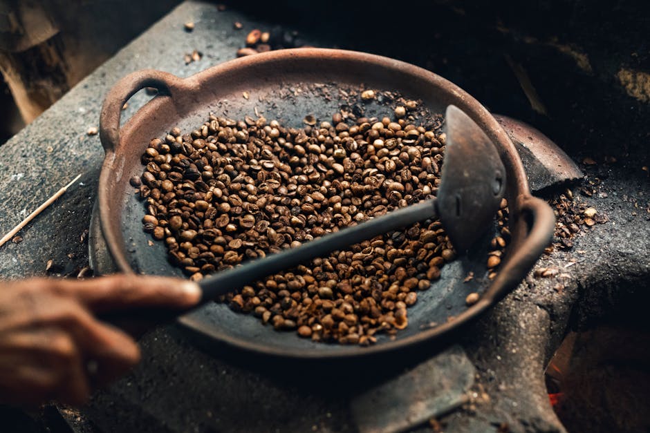 How to Store Coffee Beans for Maximum Freshness