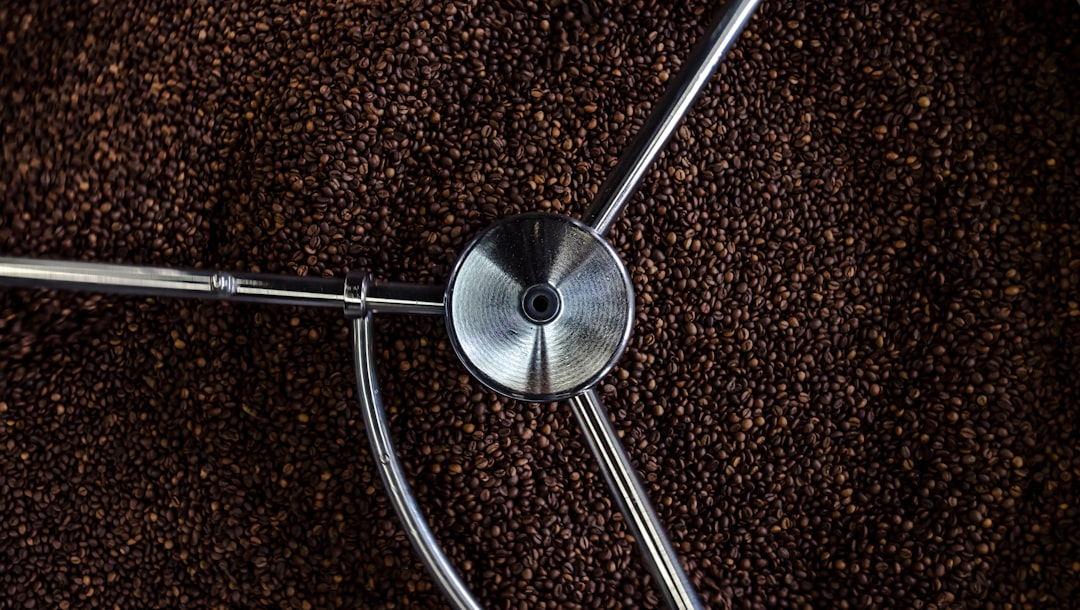 Light Roast vs Dark Roast: Which Coffee Is Best for You?
