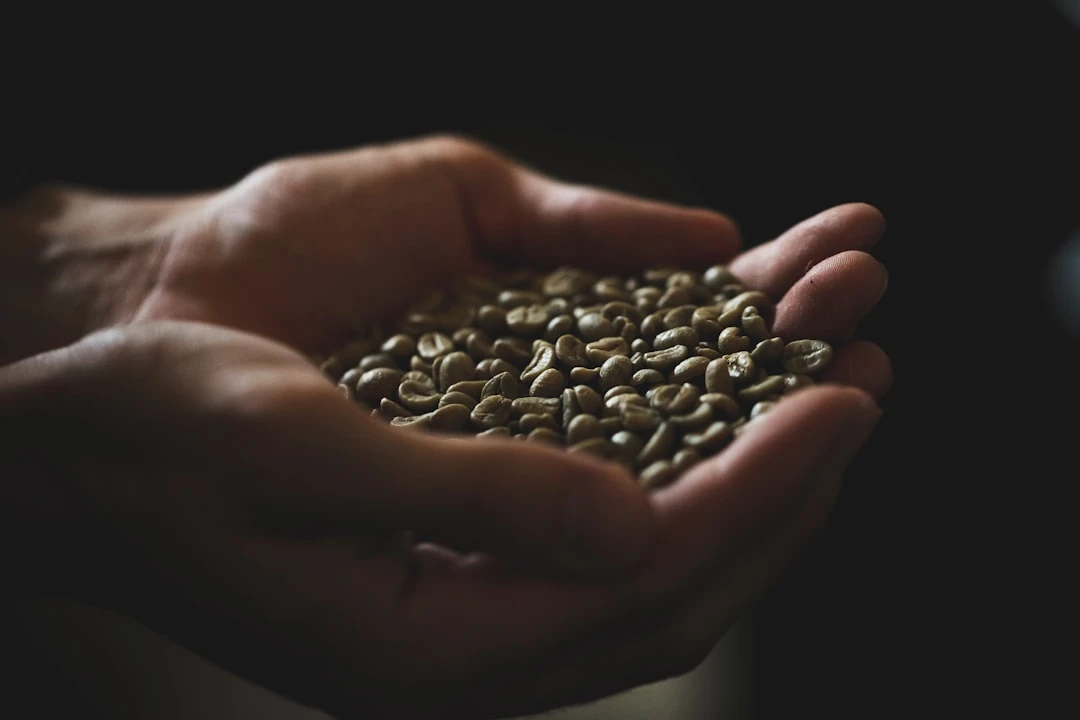 Single-Origin Coffee: What It Is & Why You’ll Love It