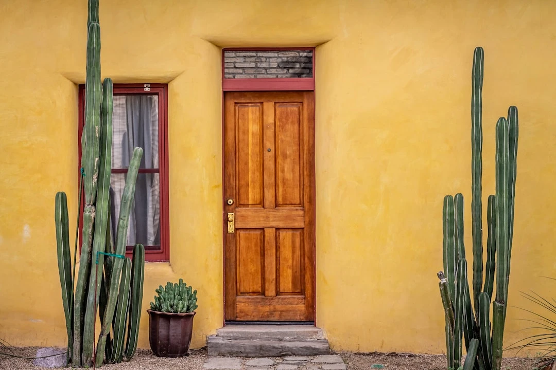 Discover Mexican Coffee Culture: History, Drinks & Traditions