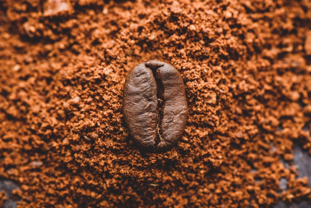 Fresh Coffee Magic: Why Grind Fresh for Ultimate Flavor