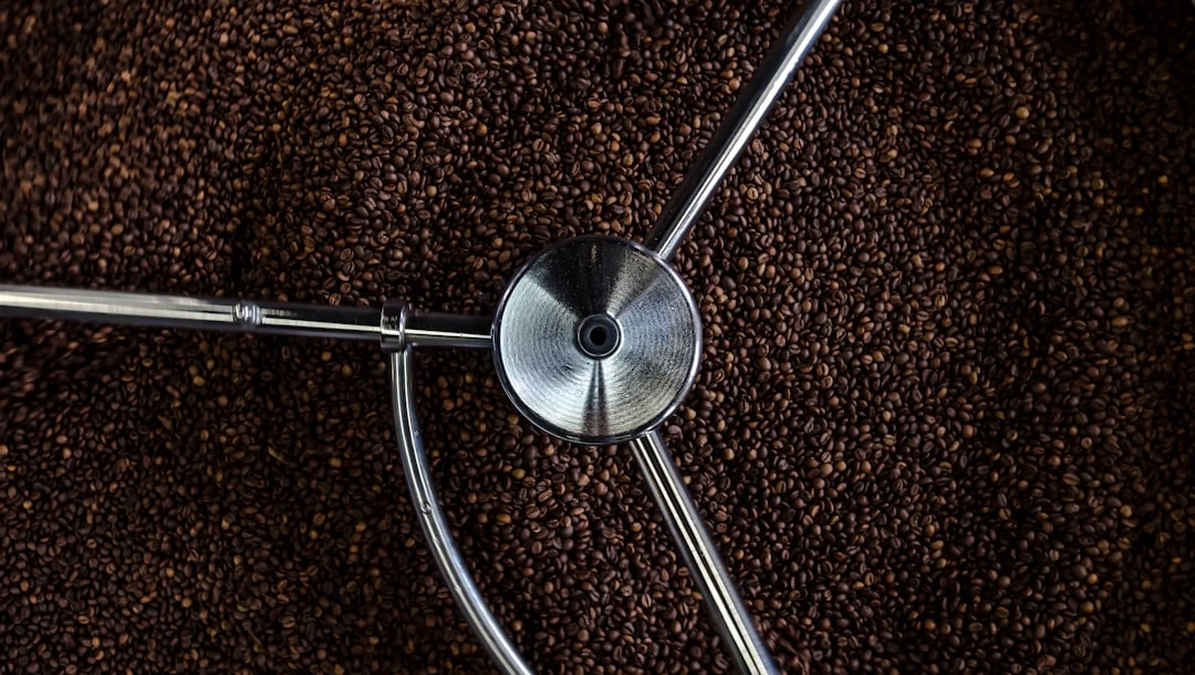 Light Roast vs Dark Roast: Which Coffee Is Best for You?